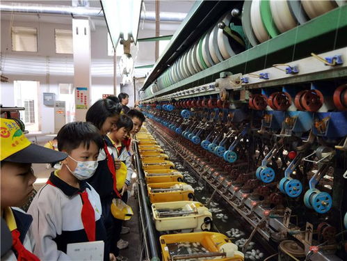 春日蠶桑研學(xué)，探秘絲織之美——記佛山南海絲廠文化之旅